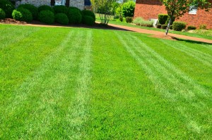 lawn-care-643563_1280